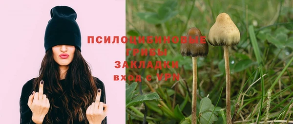 соль ск Нязепетровск