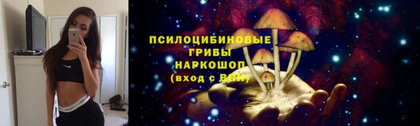 мдпв Няндома