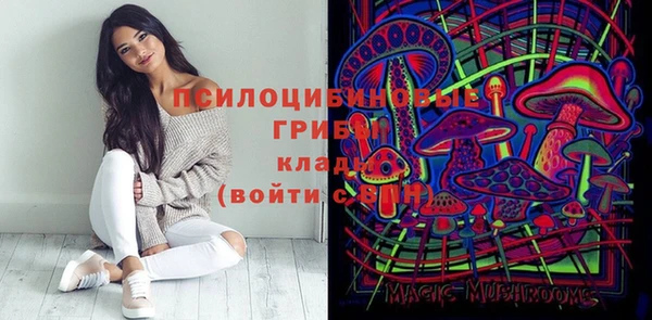 соль ск Нязепетровск