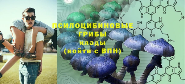 соль ск Нязепетровск