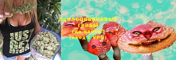 мдпв Няндома