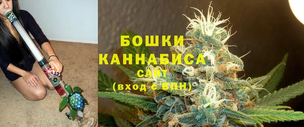 мдпв Няндома