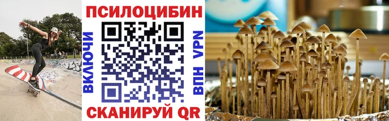 Псилоцибиновые грибы Magic Shrooms  купить   Балей 