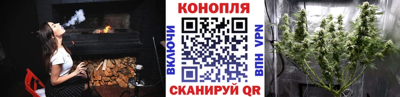 закладка  Балей  Марихуана сатива 